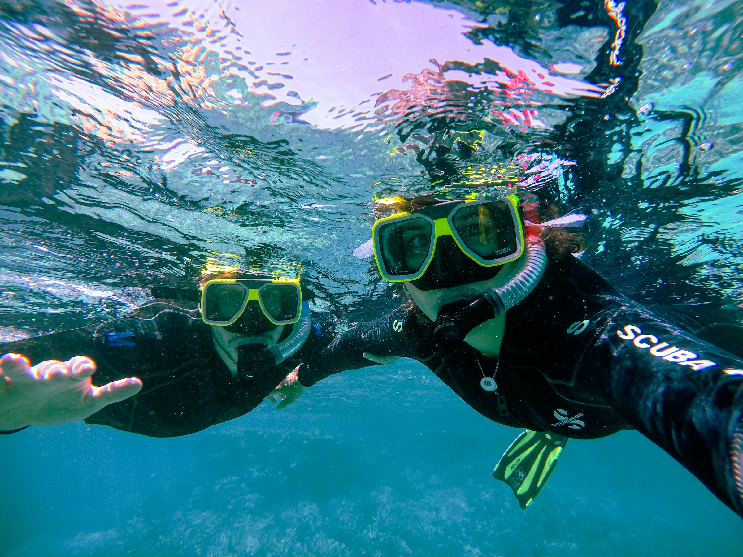 Snorkelers in the sea